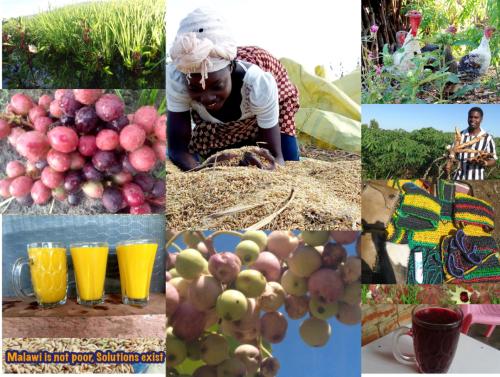 Permaculture Paradise