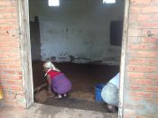 Sturmsch&auml;den 2015