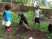 B&auml;ume pflanzen 2017